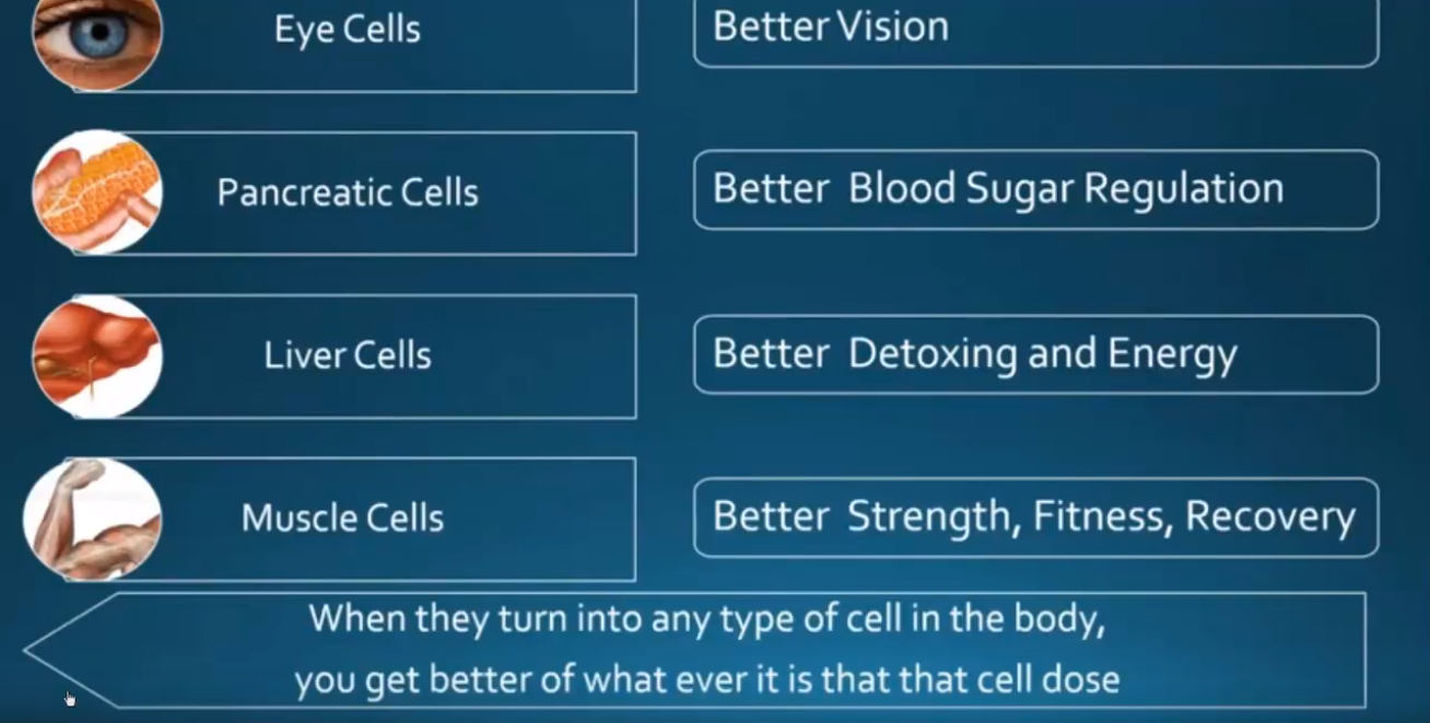 cell types 02